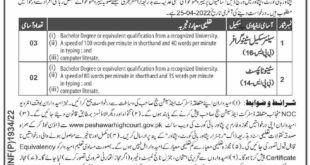 jobs at Peshawar High Court Khyber Pakhtunkwa